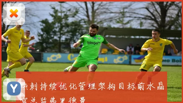 热刺持续优化管理架构目标前水晶宫总监弗里德曼