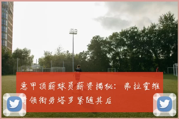 意甲顶薪球员薪资揭秘：弗拉霍维奇领衔劳塔罗紧随其后